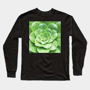 Plant print, Cactus print, Succulent, Scandinavian print, Trendy print, Styled, Pillow, Modern art, Wall art, Print, Minimalistic, Modern Long Sleeve T-Shirt